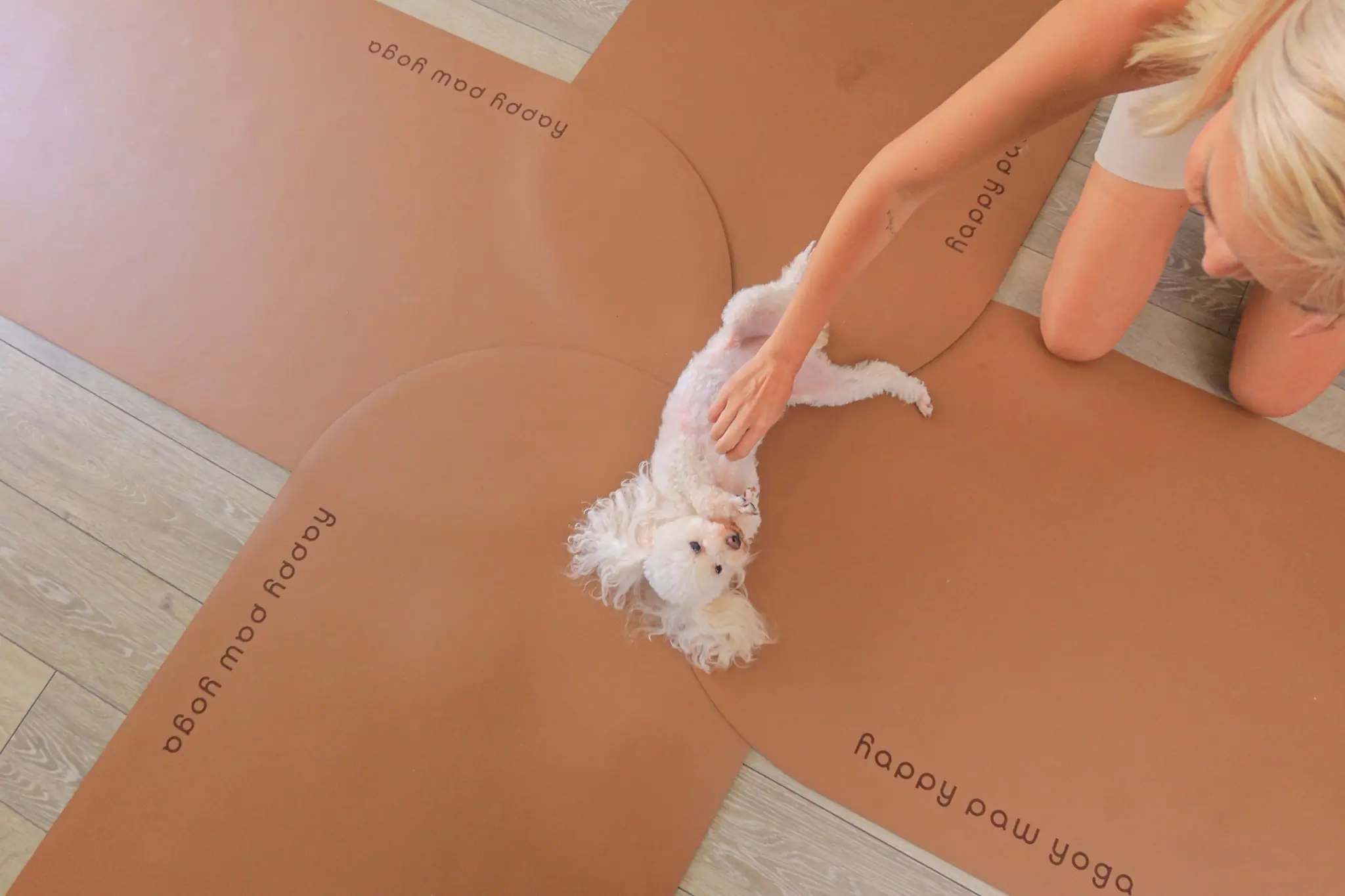 ヨガマットでくつろぐ犬をやさしく撫でる様子